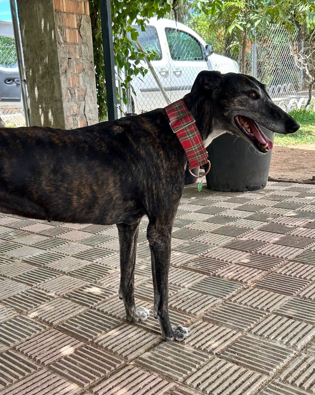 PILAR
